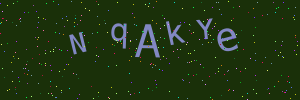 Validation image