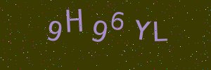 Validation image