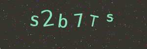 Validation image