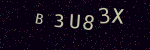 Validation image