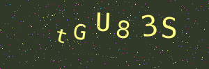 Validation image