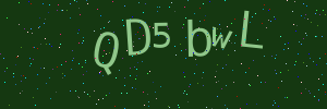 Validation image