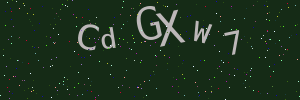 Validation image