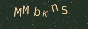 Validation image