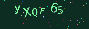 Validation image