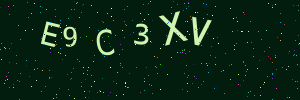 Validation image