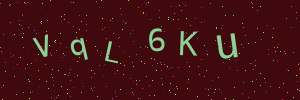 Validation image