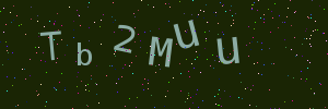 Validation image