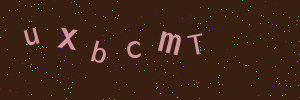 Validation image