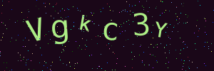 Validation image