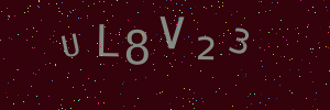 Validation image