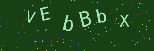 Validation image