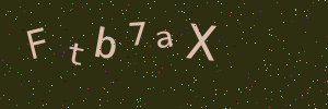 Validation image