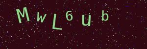 Validation image