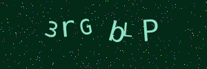 Validation image