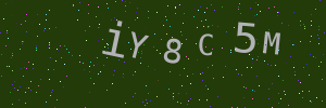 Validation image