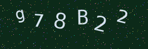 Validation image