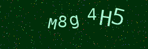 Validation image