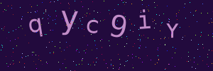 Validation image