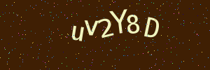 Validation image