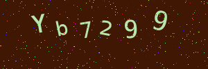 Validation image