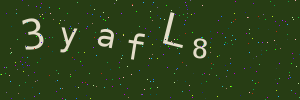 Validation image