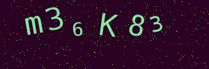 Validation image