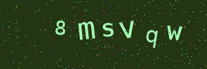 Validation image