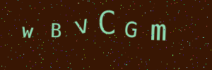 Validation image