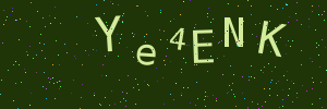 Validation image