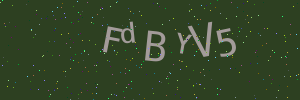 Validation image