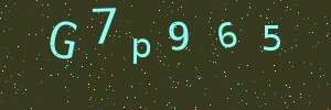 Validation image