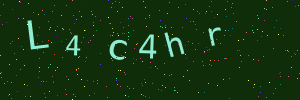 Validation image