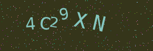 Validation image