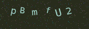 Validation image