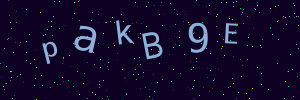 Validation image