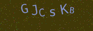 Validation image