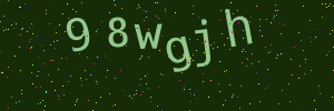 Validation image