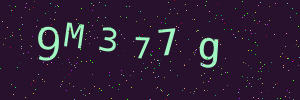 Validation image