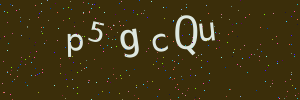 Validation image
