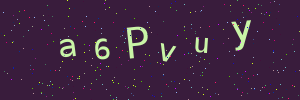 Validation image