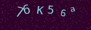 Validation image