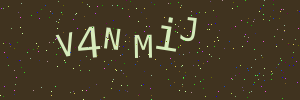Validation image