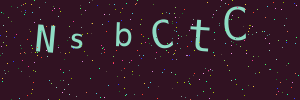 Validation image